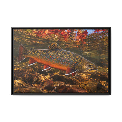 Crimson October Brook Trout framed canvas wall art