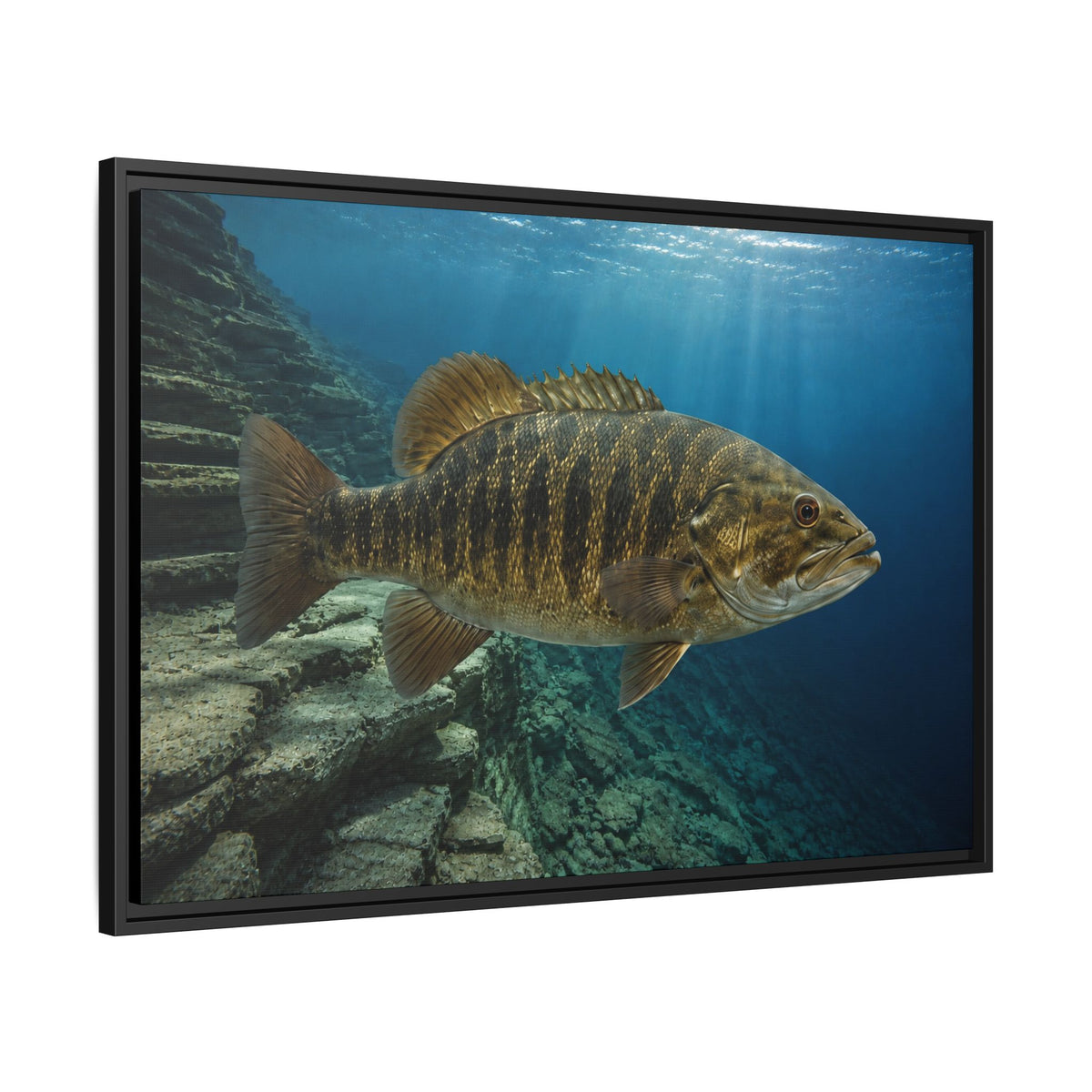 Deep Structure Smallmouth Bass framed canvas wall art, view 4