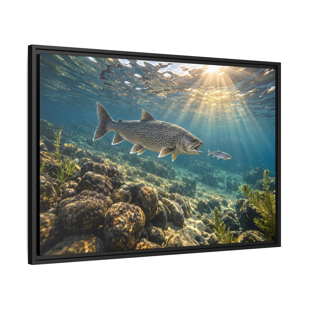Cisco Chase Lake Trout framed canvas side angle