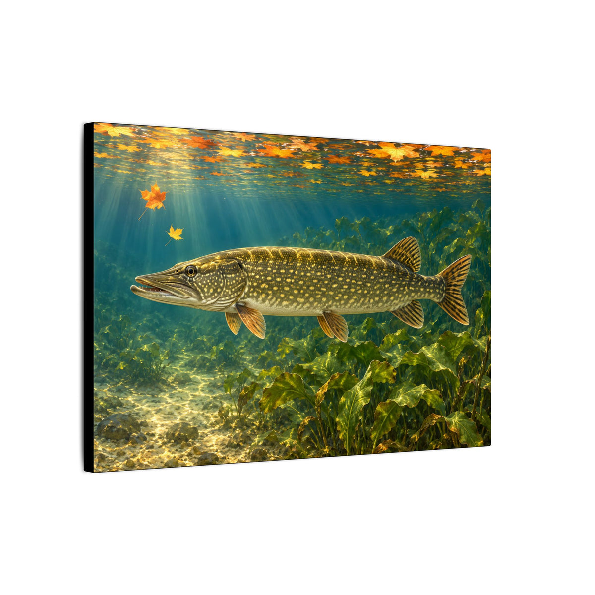 Autumn Cabbage Northern Pike canvas side angle