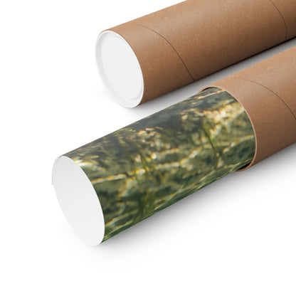 Perch School Ambush Walleye poster shipped rolled in a protective tube