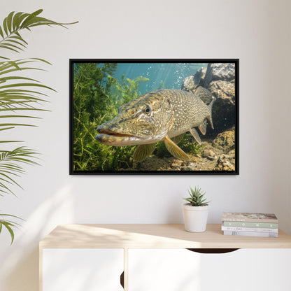 Northern Pike Clear Water Portrait Framed Canvas wall art, view 5