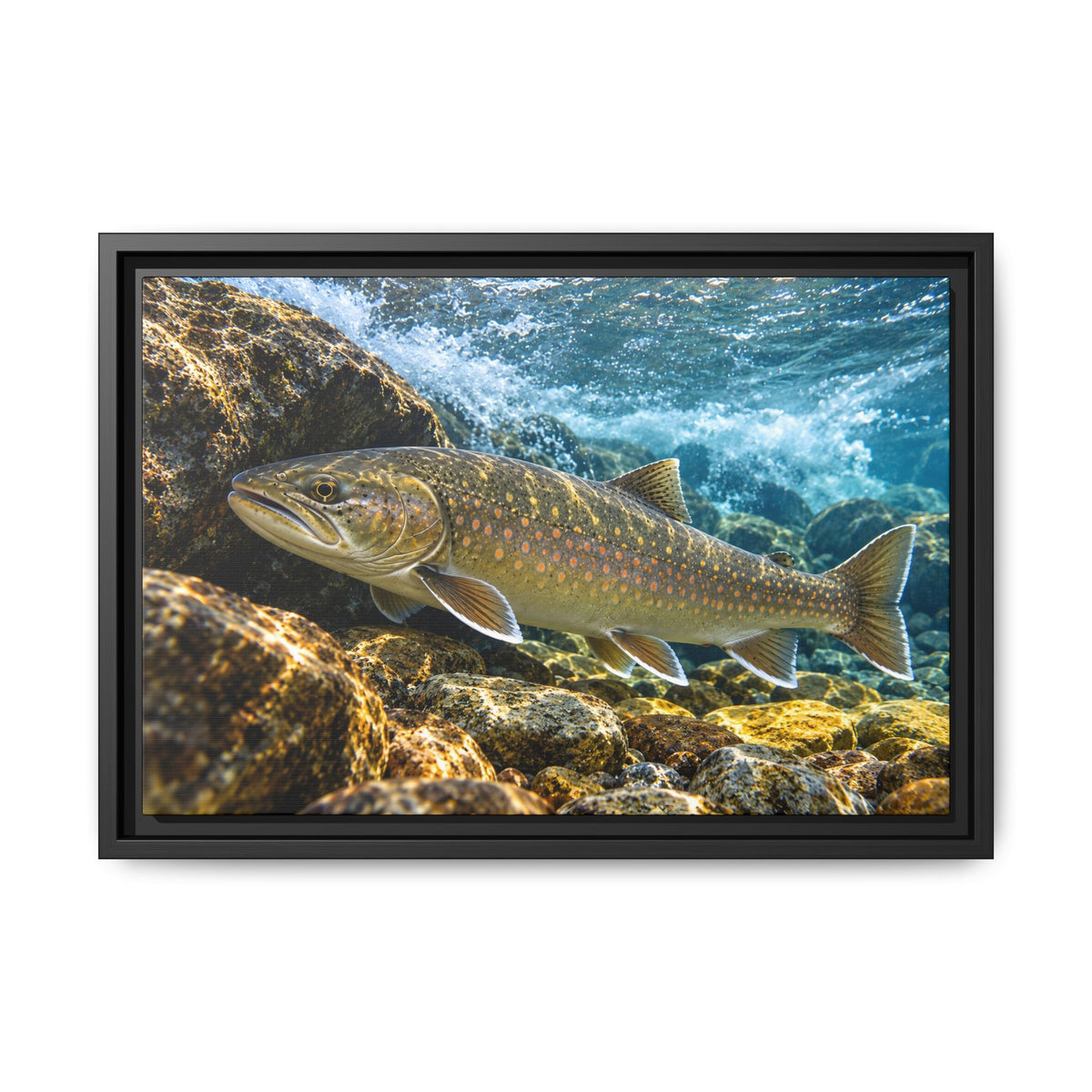 River Ambush Bull Trout framed canvas, 18x12 size view