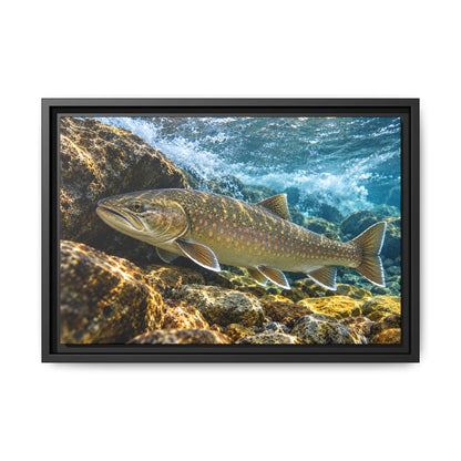 River Ambush Bull Trout framed canvas, 18x12 size view