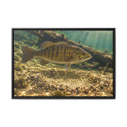 A male smallmouth guards his gravel nest by a sunken log in sunbeams, fishing wall art framed canvas