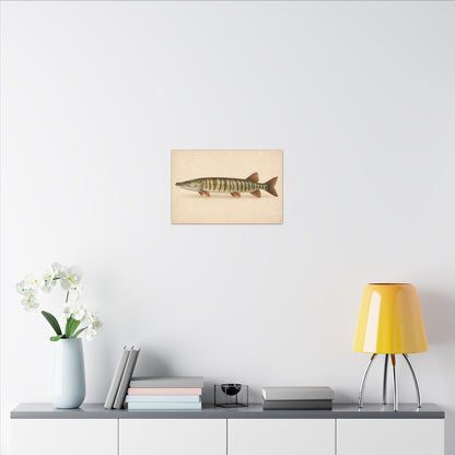Muskellunge Field Study Canvas wall art, view 6