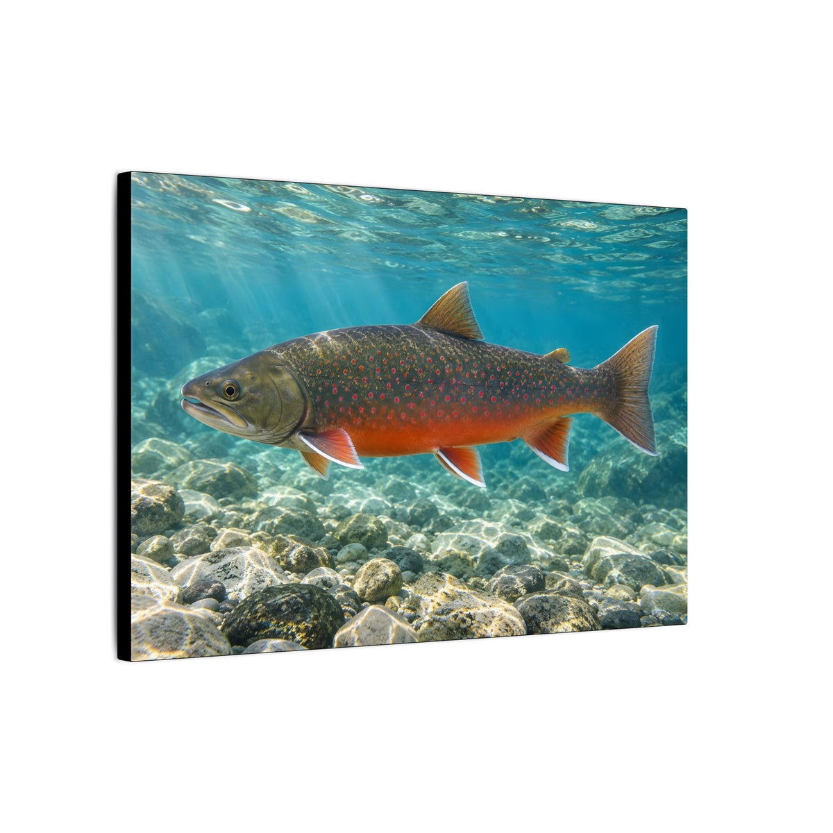 Arctic Ember Dolly Varden canvas wall art, view 4
