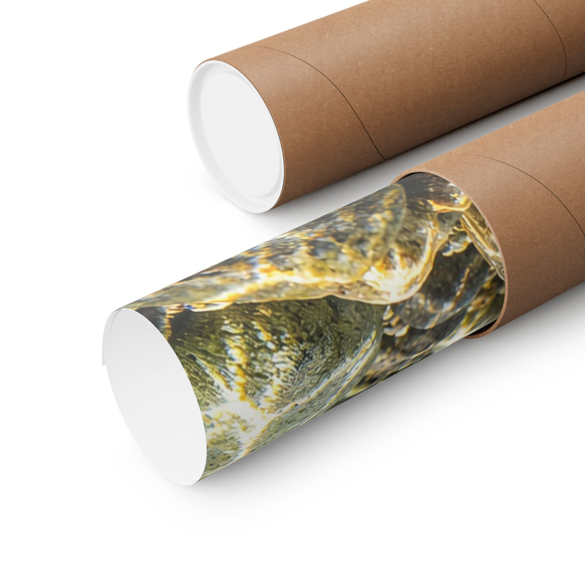 Humpback Run Pink Salmon poster wall art, view 5