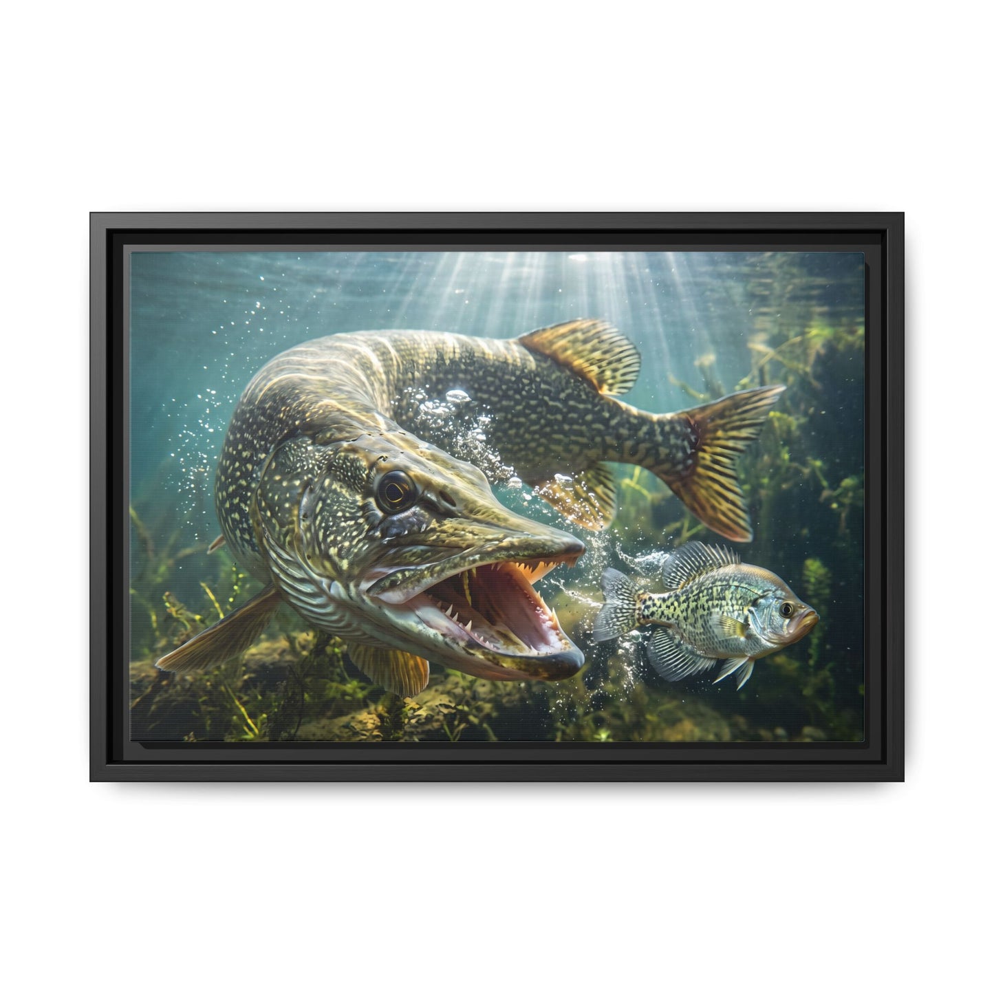 Northern Pike Predator Strike Framed Canvas — Ready-to-Hang Wall Art for Anglers