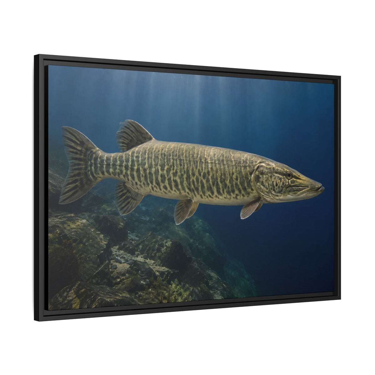 Blue Water Muskie Cruiser framed canvas side angle