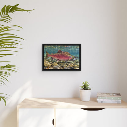 Humpback Run Pink Salmon framed canvas wall art, view 5
