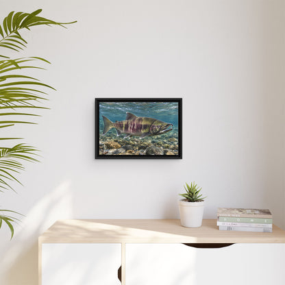 Calico Run Chum Salmon framed canvas wall art, view 5