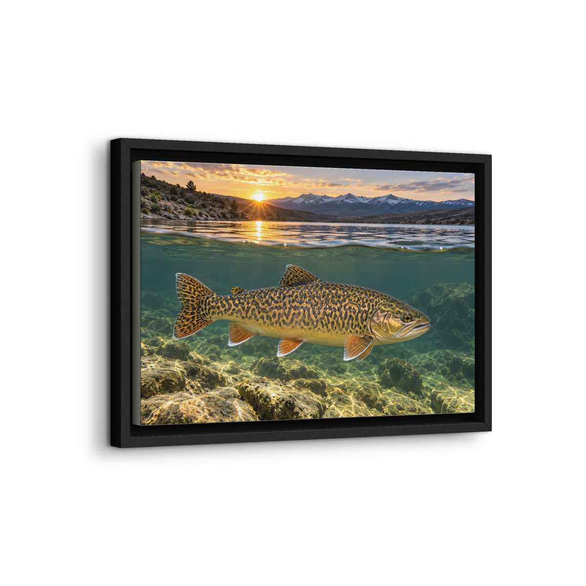 High Desert Sunrise Tiger Trout framed canvas wall art, view 4