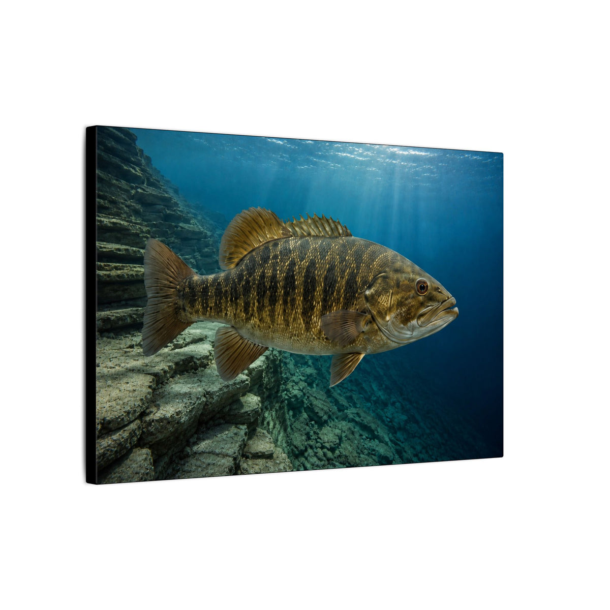 Deep Structure Smallmouth Bass canvas wall art, view 4