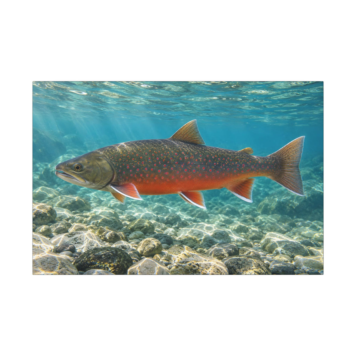 Arctic Ember Dolly Varden canvas wall art, view 3