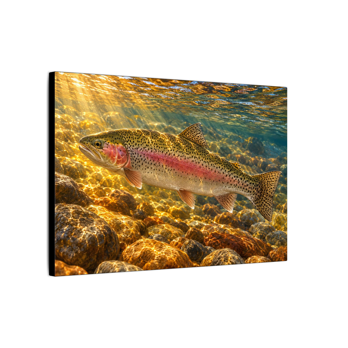 Golden Riffle Rainbow Trout canvas wall art – photo 4