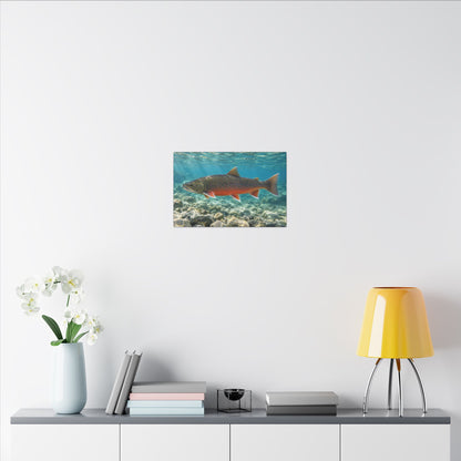 Arctic Ember Dolly Varden canvas wall art, view 6