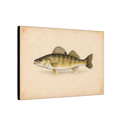 Walleye Field Study canvas side angle