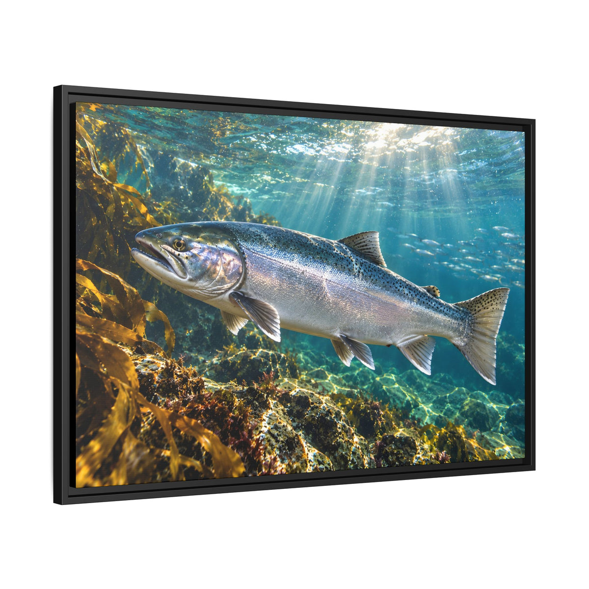 Silver in the Tide Coho Salmon framed canvas, side angle