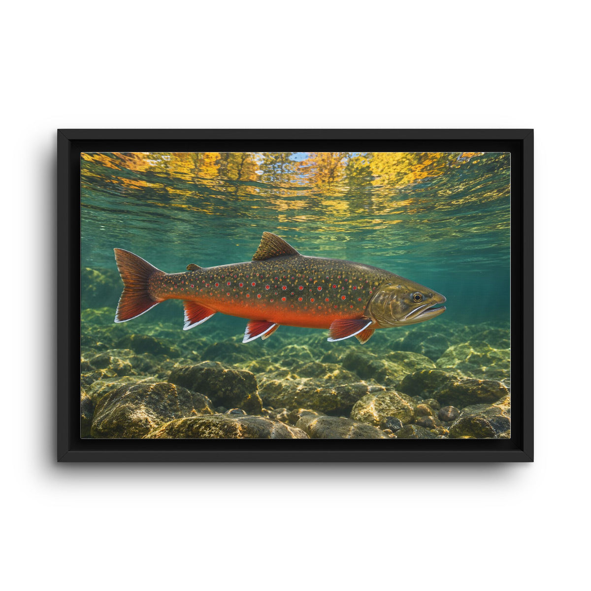 Autumn Reflections Dolly Varden framed canvas wall art