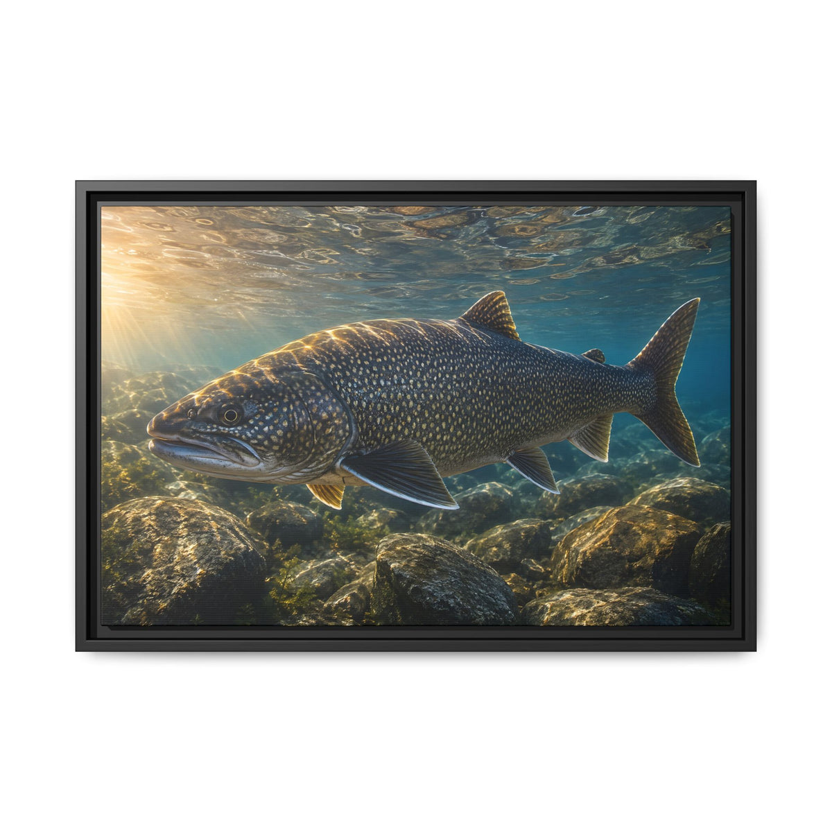 Shallow Reef at Sunrise Lake Trout framed canvas wall art, view 3