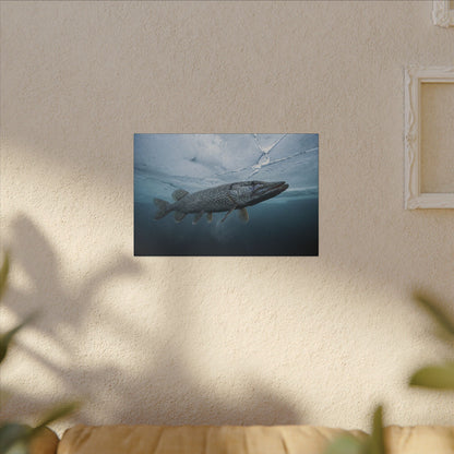 Ice-Out Strike Northern Pike canvas hanging in a living room