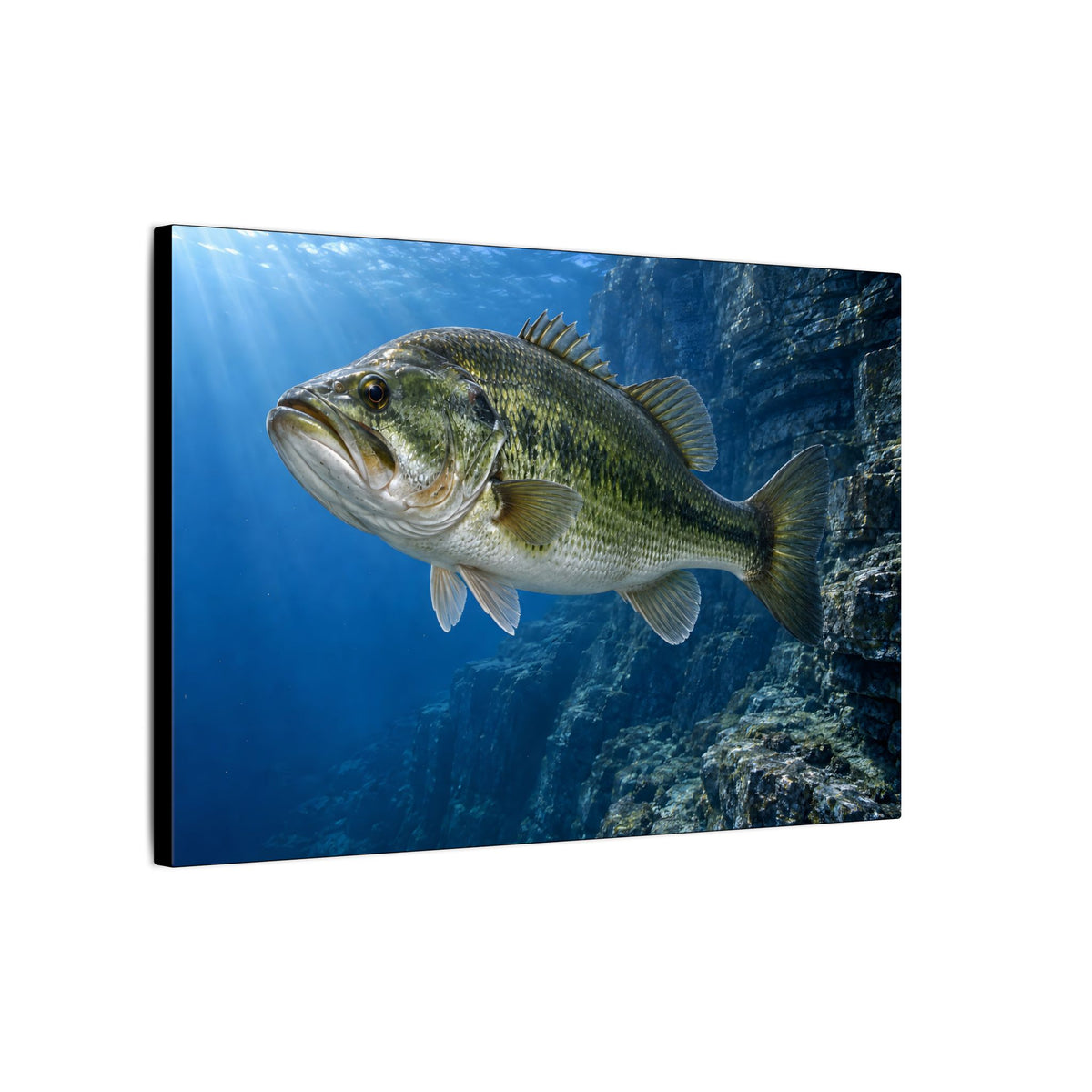 Cobalt Cliff Patrol Largemouth Bass canvas side angle