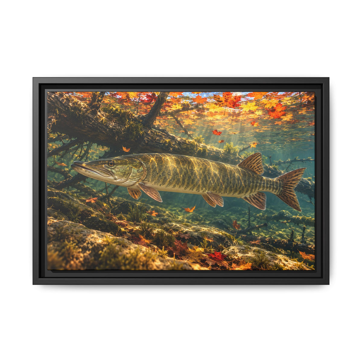 Autumn Timber Muskie Framed Canvas wall art, view 2