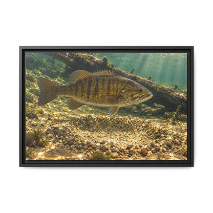 Spawning Bed Smallmouth Framed Canvas wall art, view 3