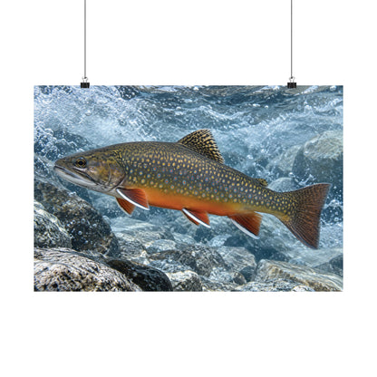 Snowmelt Run Brook Trout poster wall art