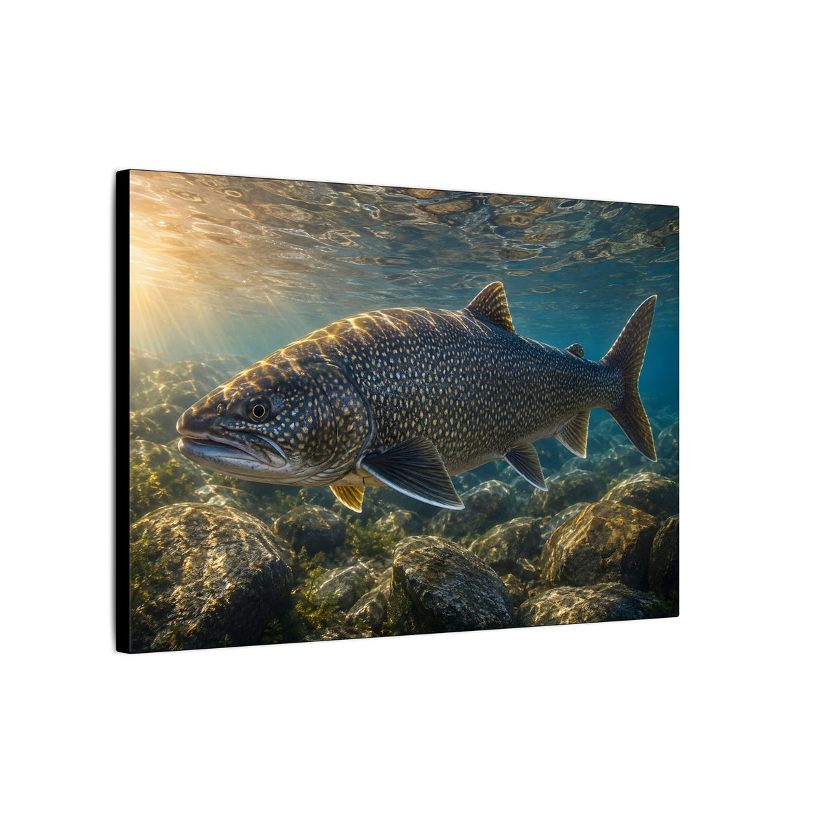 Shallow Reef at Sunrise Lake Trout canvas wall art, view 4