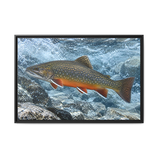 Snowmelt Run Brook Trout framed canvas wall art
