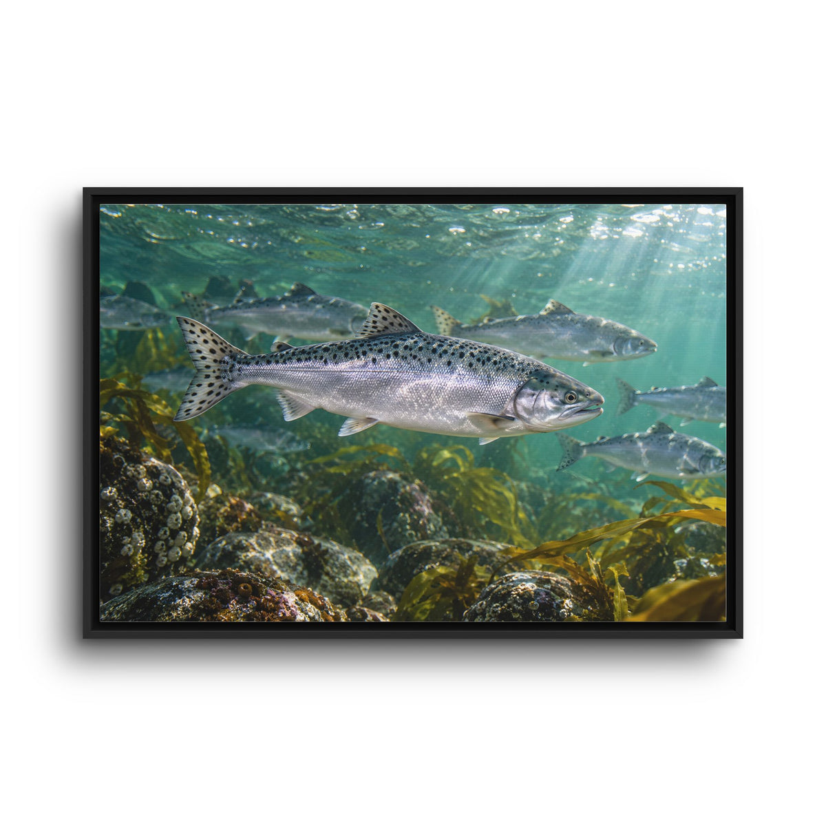 Lead the Run Pink Salmon framed canvas wall art, view 3