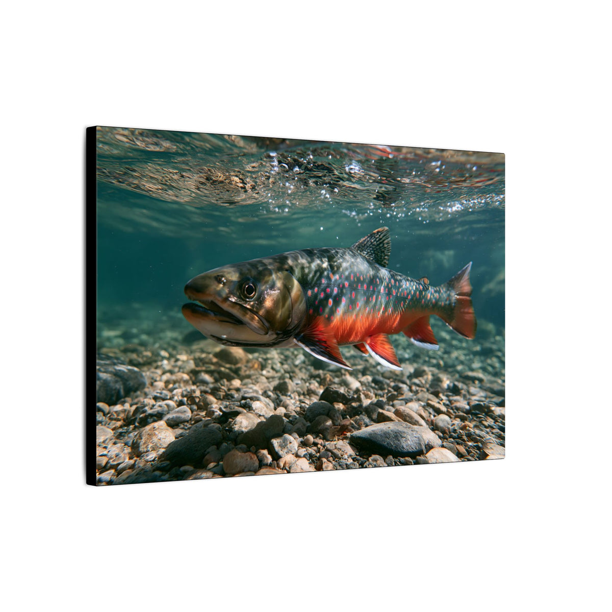 Clear Gravel Run Dolly Varden canvas wall art, view 4