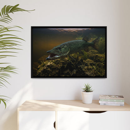 Mouth Open Dusk Sky Muskie framed canvas hanging in a living room