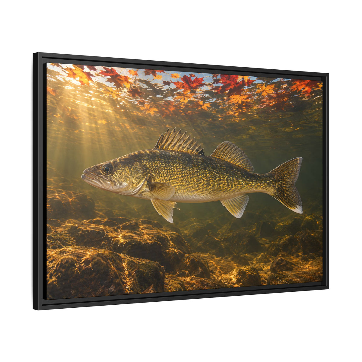 Autumn Turnover Walleye framed canvas side angle