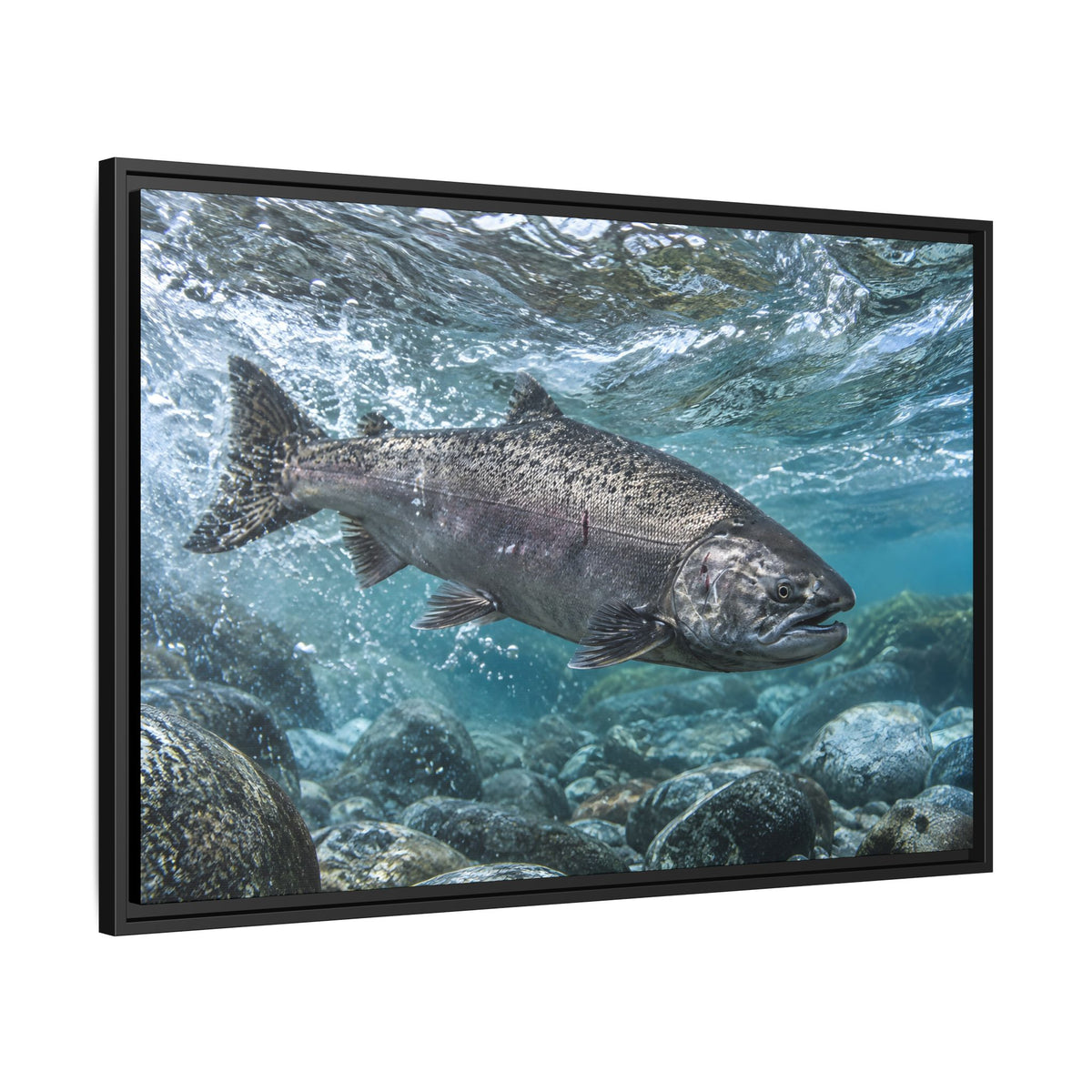Leap of the King Chinook Salmon framed canvas wall art, view 4