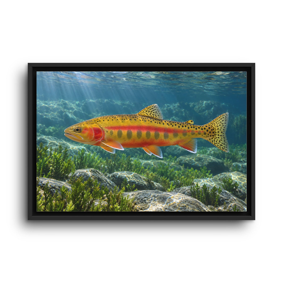 Gliding Through Sierra Waters Golden Trout framed canvas wall art, view 2