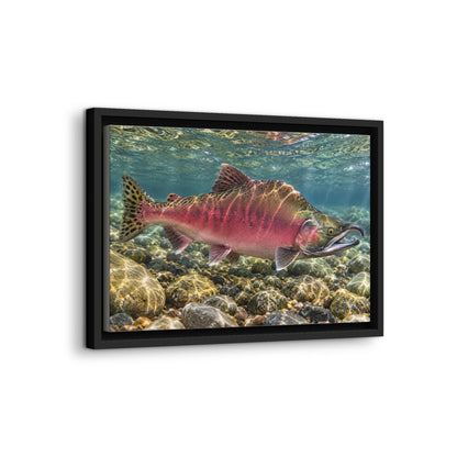 Humpback Run Pink Salmon framed canvas wall art, view 4