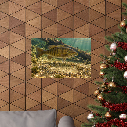 Spawning Bed Smallmouth Bass poster wall art, view 6