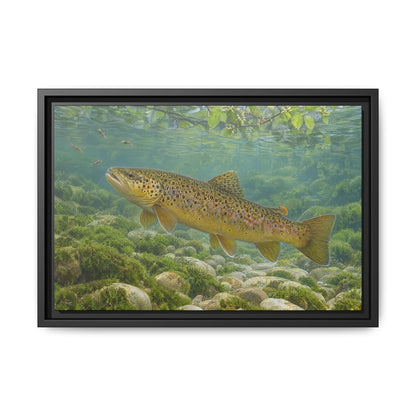 Mourning Creek Brown Trout framed canvas wall art, view 2