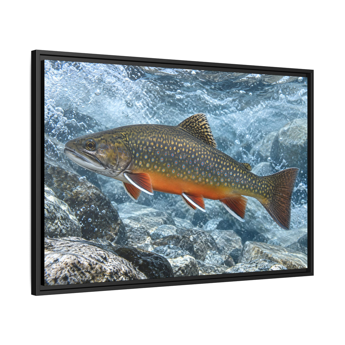 Snowmelt Run Brook Trout framed canvas wall art, view 4