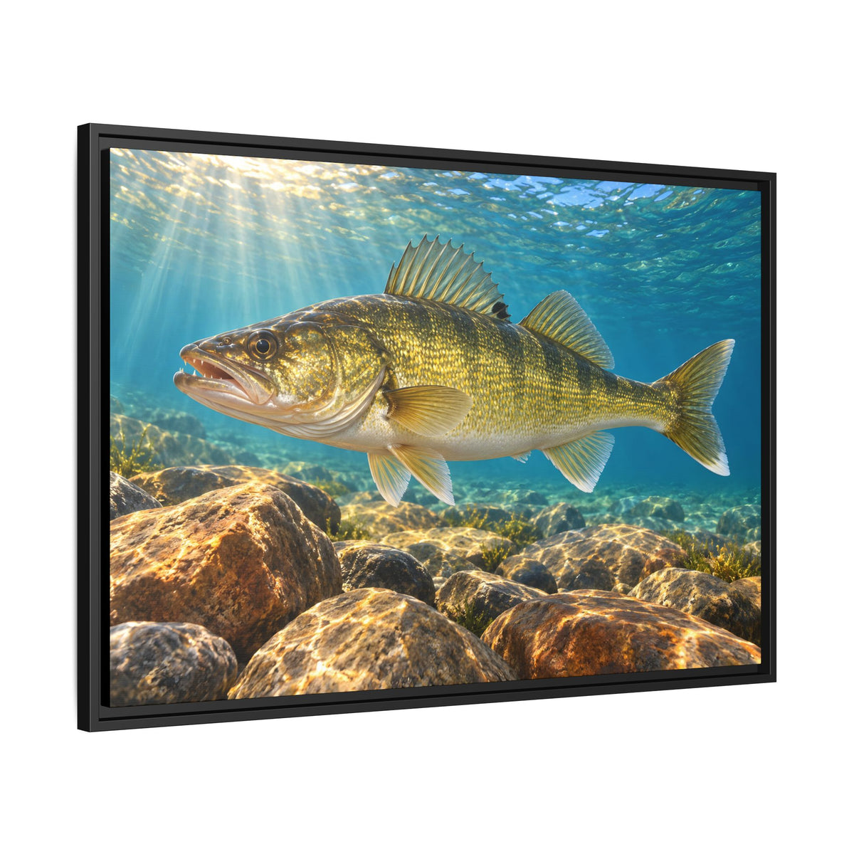 Golden Rock Reef Walleye framed canvas side angle