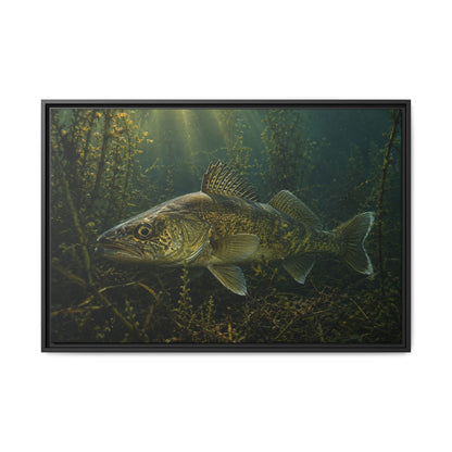 Weed Line Walleye framed canvas, 18x12 size view