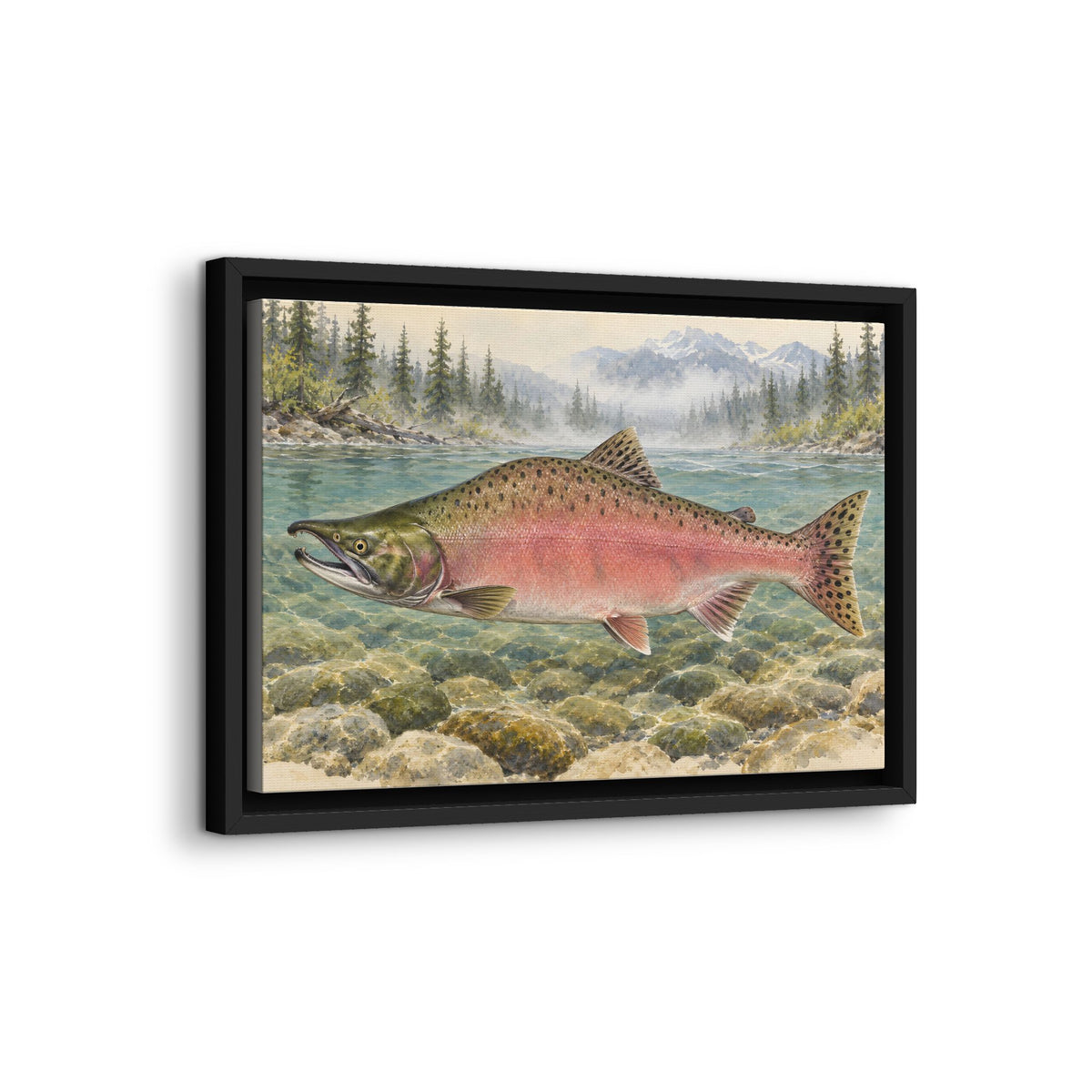 Spawning Creek Pink Salmon framed canvas wall art, view 4