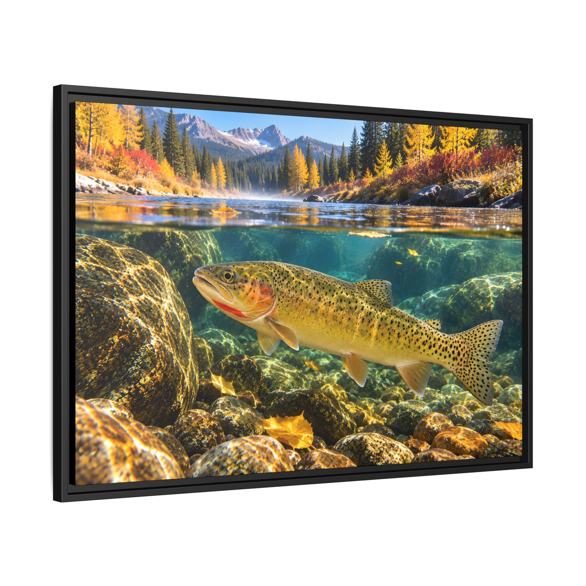 St. Joe Autumn Cutthroat Trout framed canvas, side angle