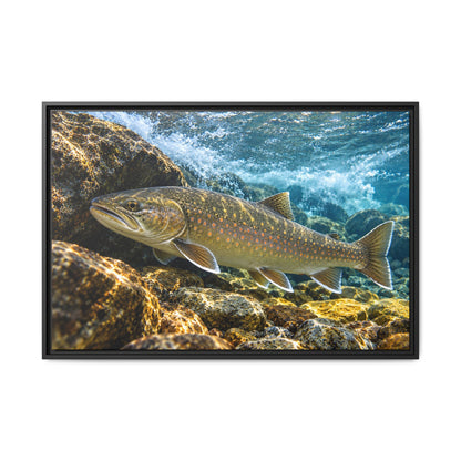 River Ambush Bull Trout framed canvas, 36x24 size view