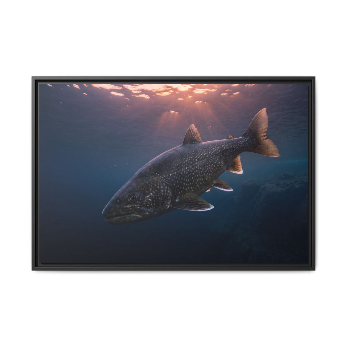 Twilight Rise Lake Trout framed canvas wall art