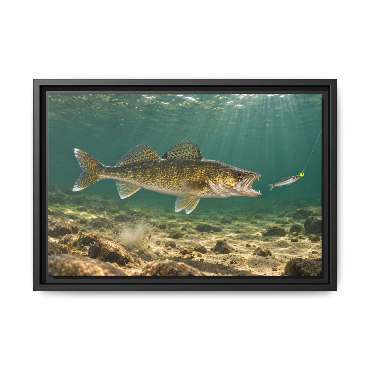 Jig and Minnow Strike Walleye framed canvas, 24x16 size view