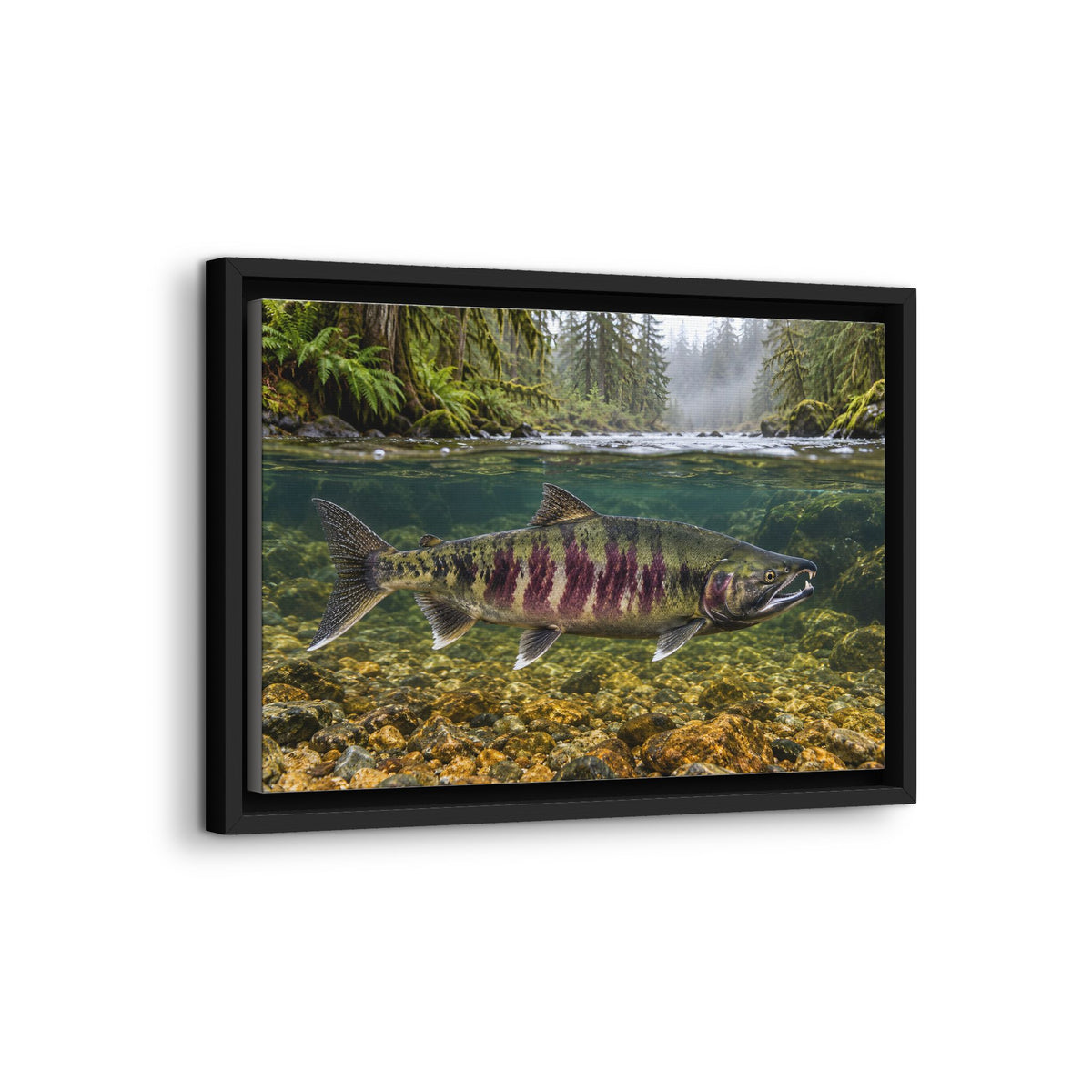 Rainforest River Chum Salmon framed canvas wall art, view 4